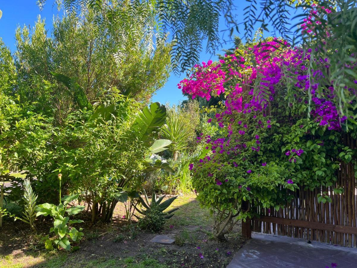 Sunset Beach Living Guesthouse Ciudad del Cabo Exterior foto